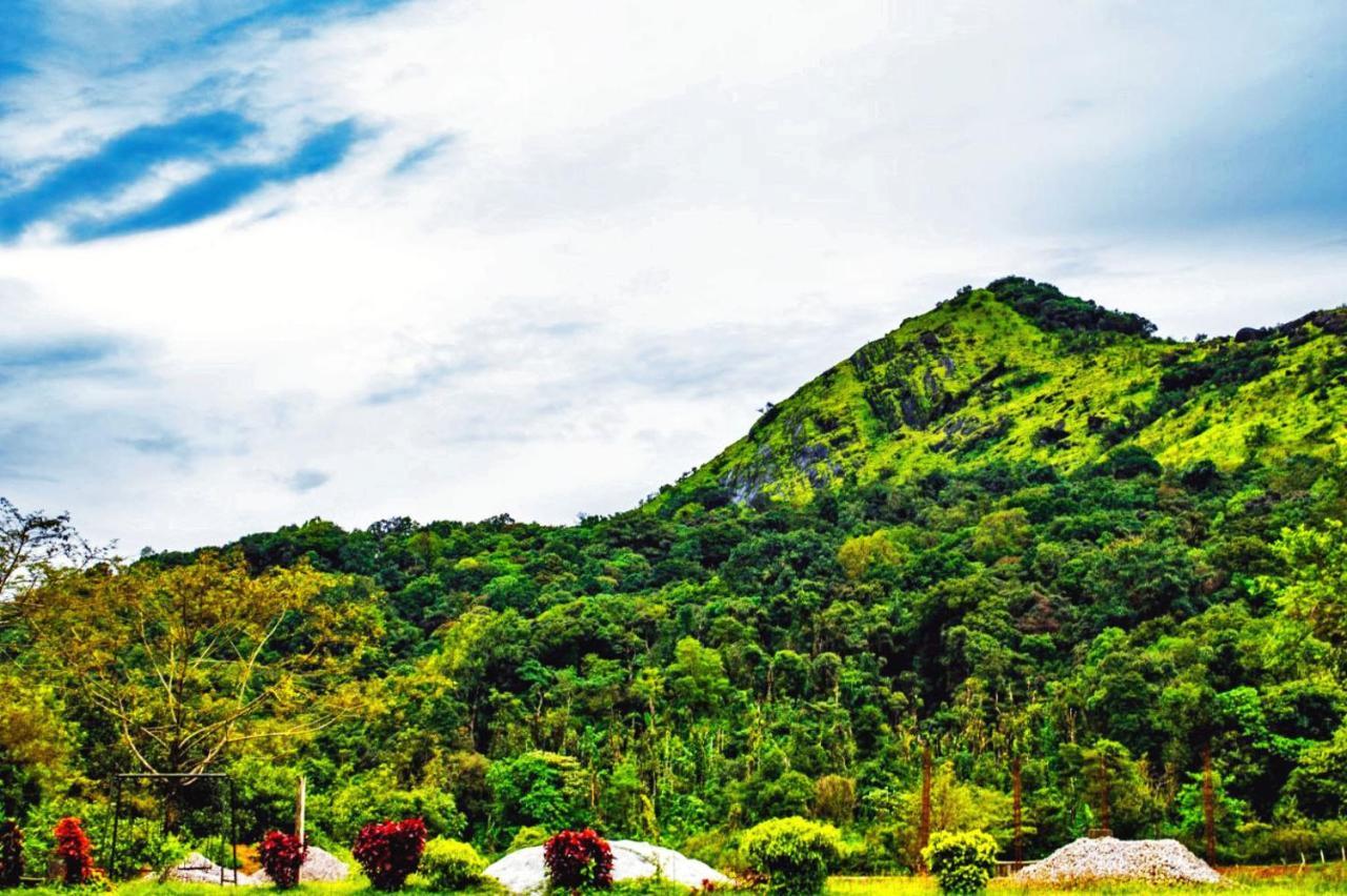 Staymaker Kasargali Homestay Sakleshpur Exterior photo